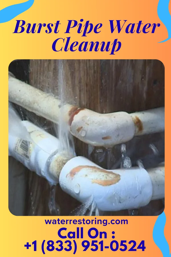 Burst Pipe Water Cleanup in Ravensworth, VA