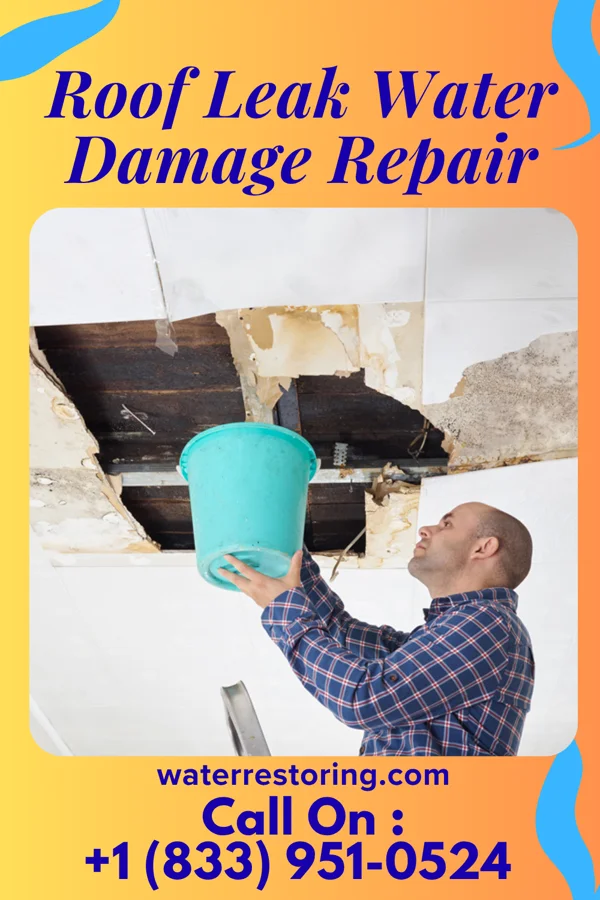 Roof Leak Water Damage Repair in Ravensworth, VA