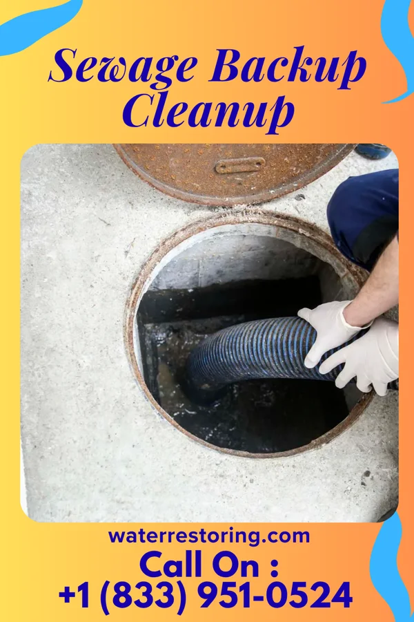 Sewage Backup Cleanup in Ravensworth, VA