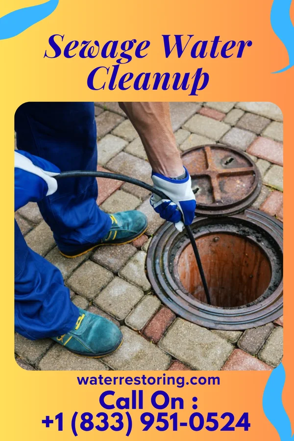 Sewage Water Cleanup in Ravensworth, VA