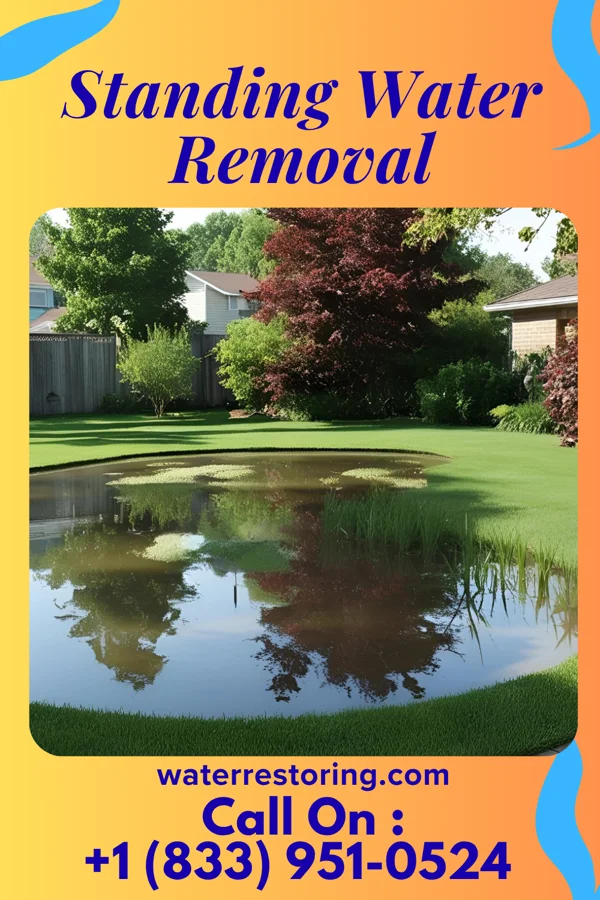 Standing Water Removal in Ravensworth, VA